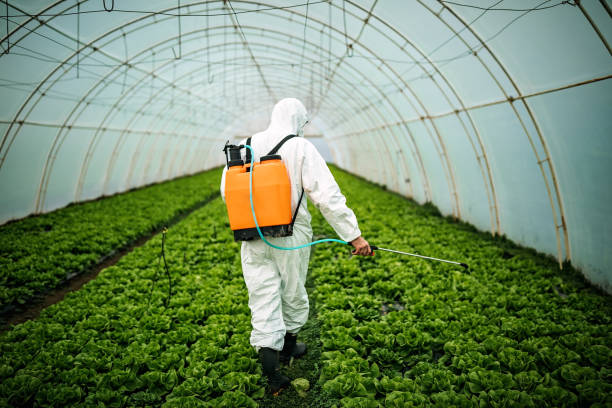 Pest Prevention Services in Guymon, OK
