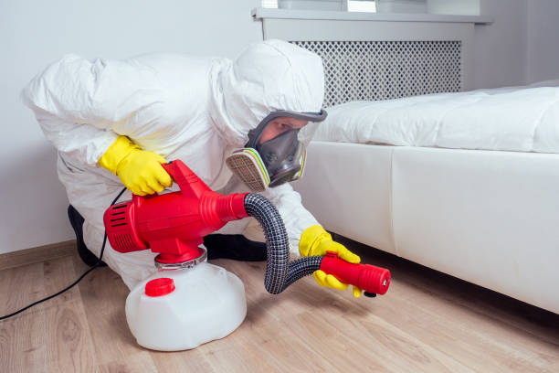Reliable Guymon, OK Pest Control Solutions
