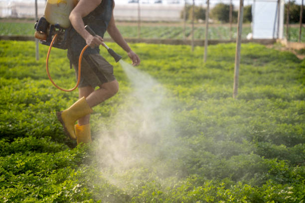 Best Mosquito Control Services  in Guymon, OK