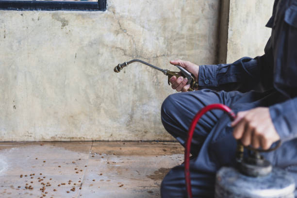 Best Termite Control Services  in Guymon, OK