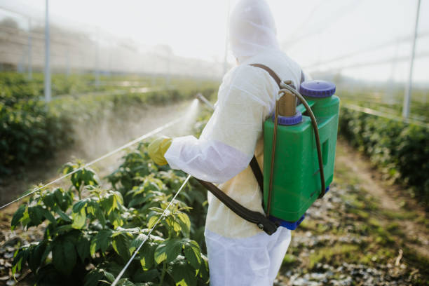 Best Pest Removal Services  in Guymon, OK